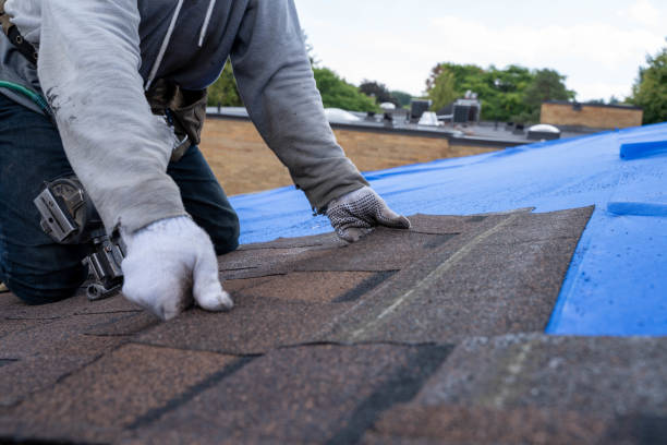 Best Roof Restoration Services  in The Homesteads, TX