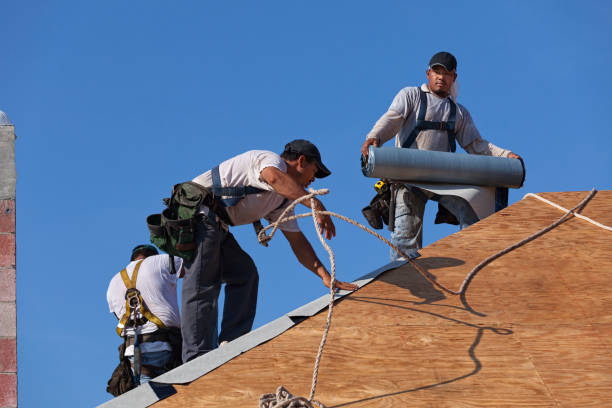 Quick and Trustworthy Emergency Roof Repair Services in The Homesteads, TX