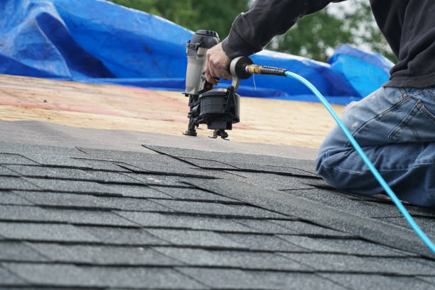 Best Roof Gutter Cleaning  in The Homesteads, TX