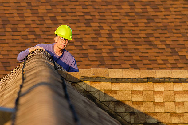 Best Storm Damage Roof Repair  in The Homesteads, TX