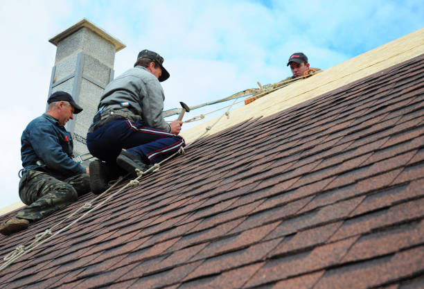 Best Roof Inspection Near Me  in The Homesteads, TX