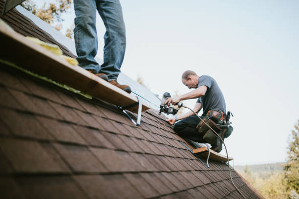 Best Gutter Installation and Roofing  in The Homesteads, TX